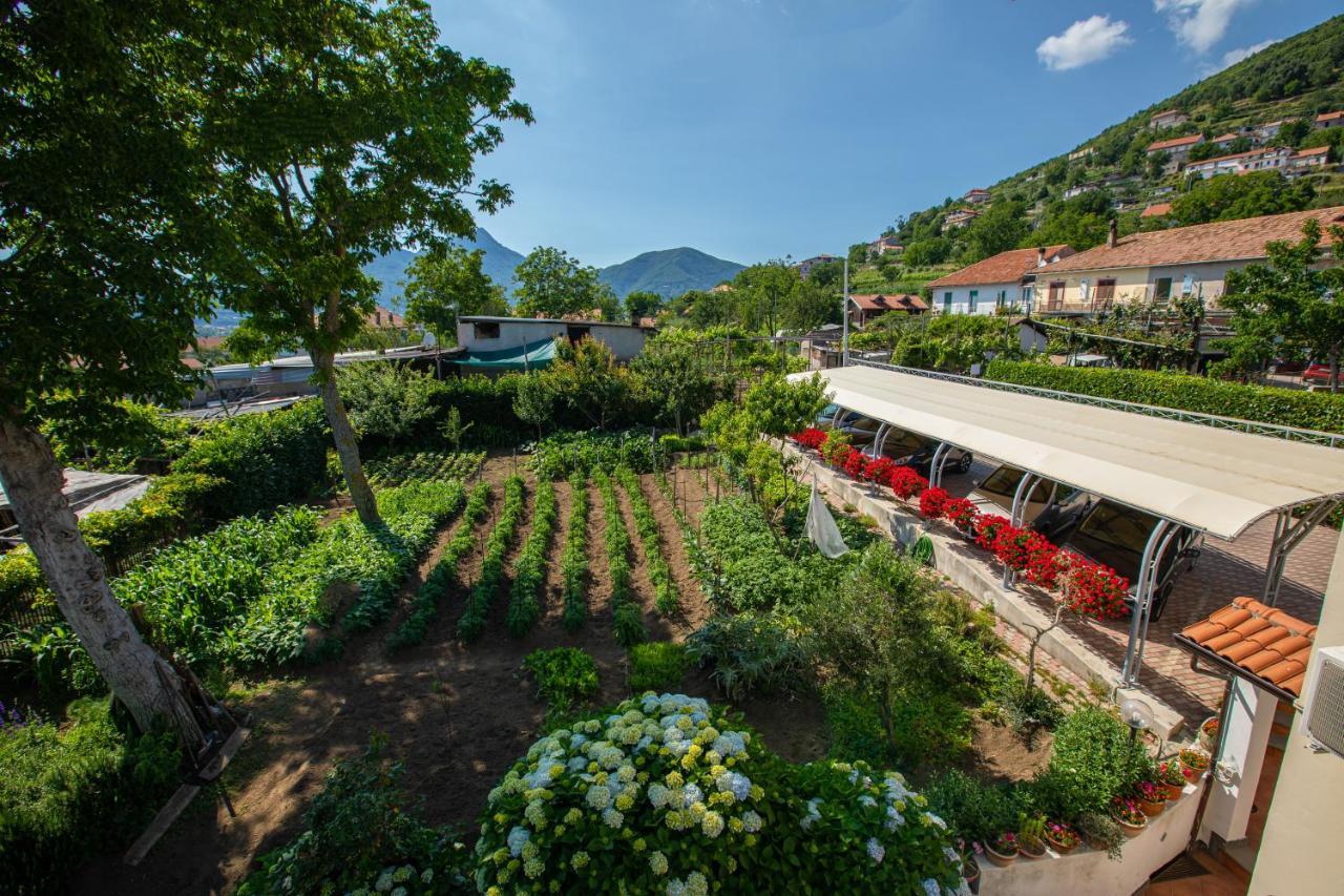 Nido Degli Dei Vila Agerola Exterior foto